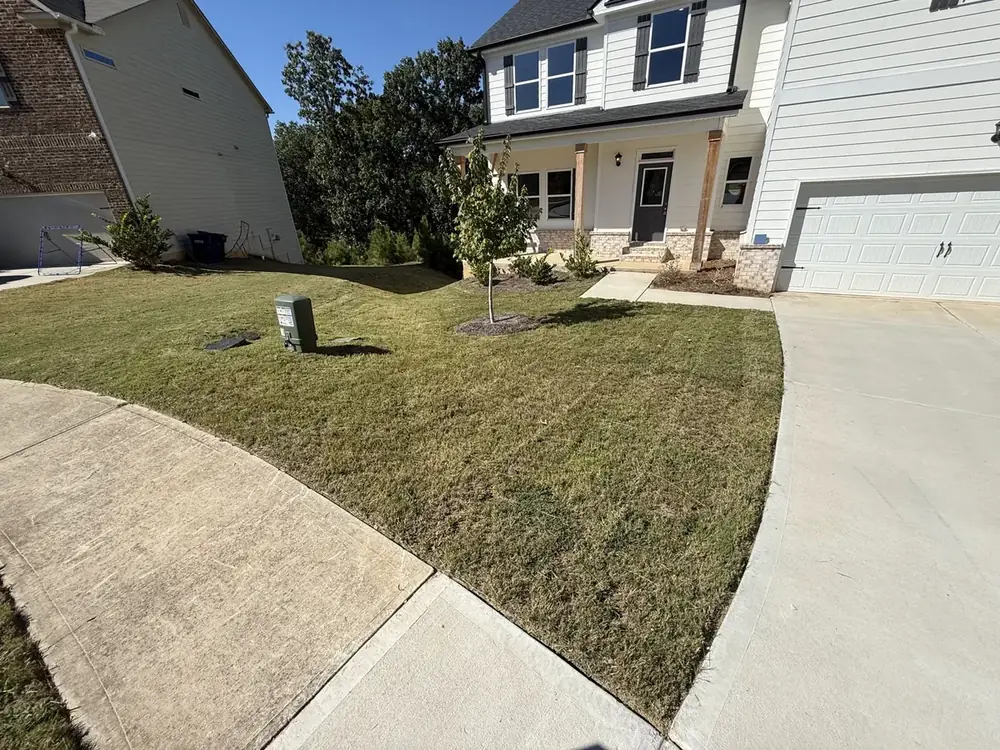 Freshly mowed front lawn beside a driveway in Douglasville, GA